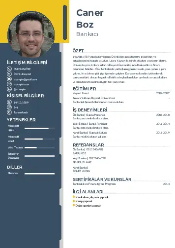 cv indir